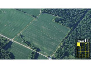Property photo 58 - Land Auction 1035 Acres In 16 tracts - Farm Land - Sullivan Co. Indiana & Clark Co., Illinois